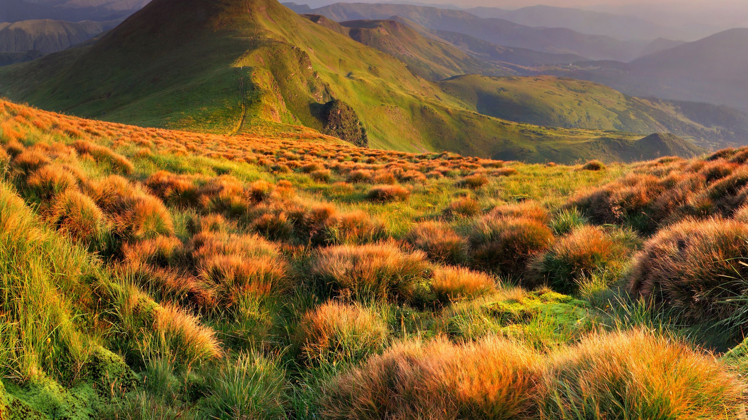 Green Grass Field and Mountain Under White Clouds. Wallpaper in 2560x1440 Resolution