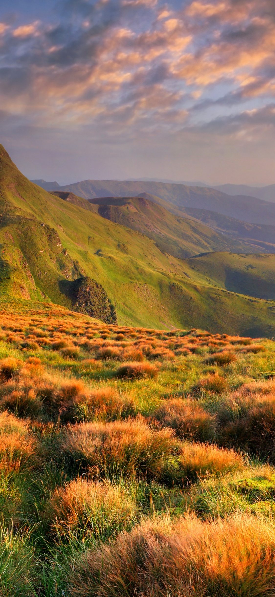 Campo de Hierba Verde y Montaña Bajo Nubes Blancas. Wallpaper in 1125x2436 Resolution