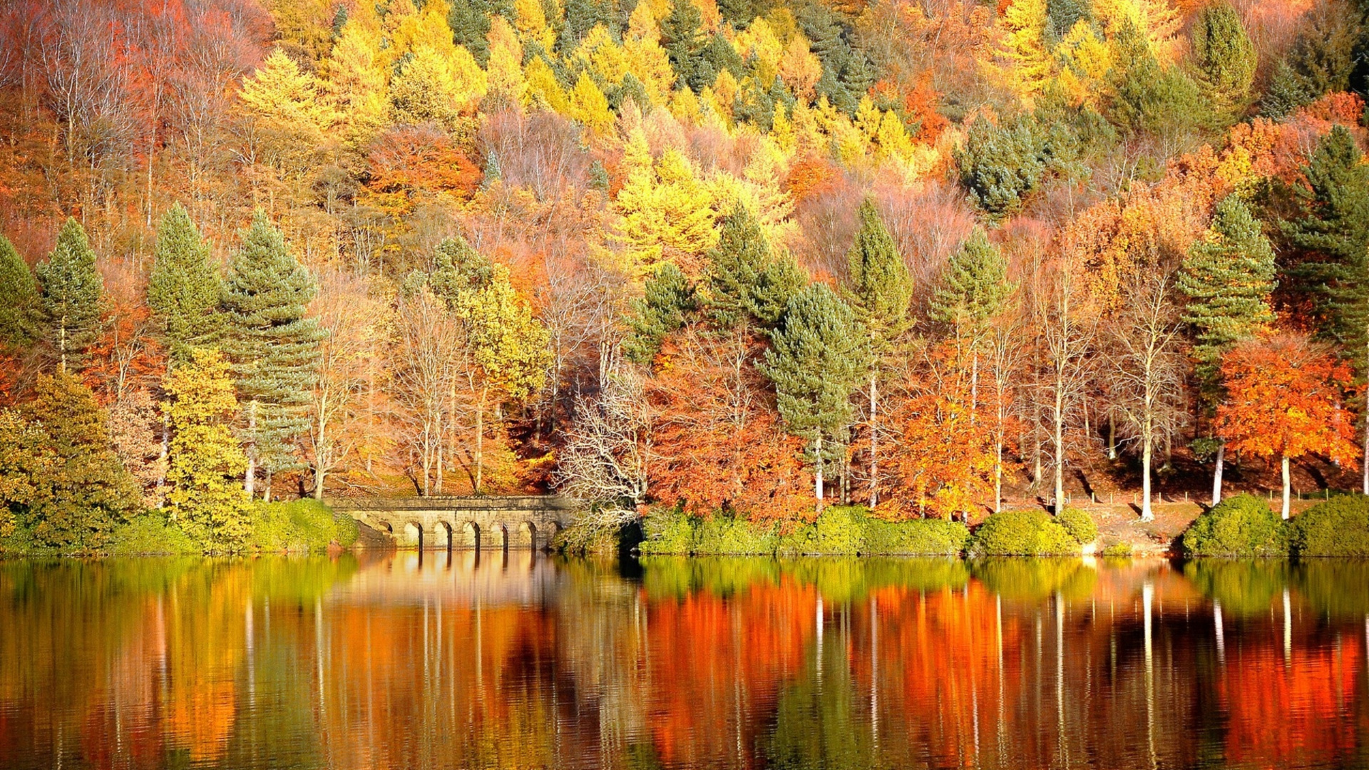 Autumn, Reflection, Nature, Tree, Leaf. Wallpaper in 1920x1080 Resolution