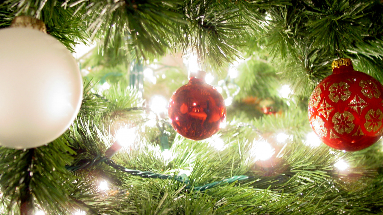 Christmas Day, Christmas Tree, Holiday, Christmas and Holiday Season, Christmas Ornament. Wallpaper in 1280x720 Resolution