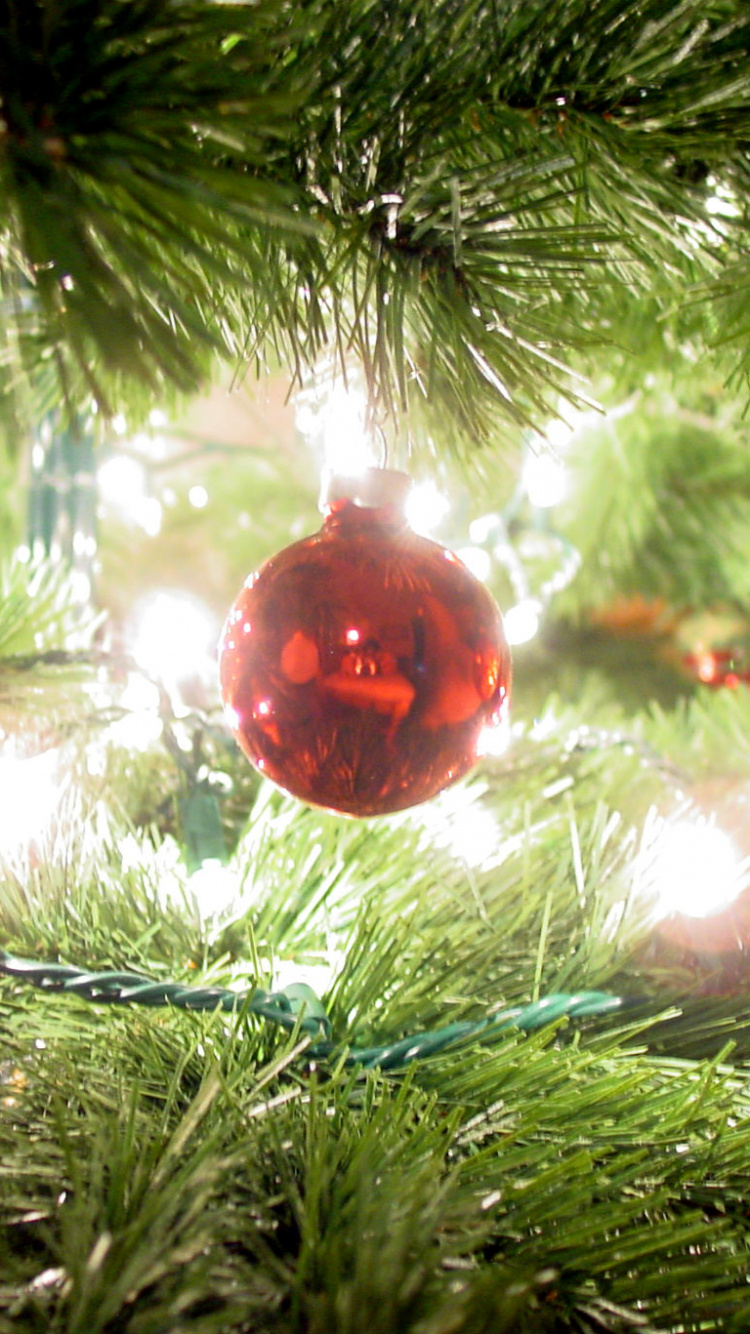 Weihnachten, Weihnachtsbaum, Weihnachts-und Ferienzeit, Christmas Ornament, Weihnachtsdekoration. Wallpaper in 750x1334 Resolution