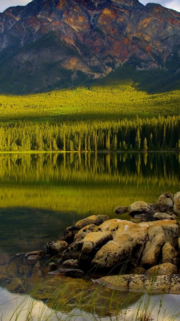 Grüne Bäume in Der Nähe Von See Und Berg Tagsüber. Wallpaper in 720x1280 Resolution