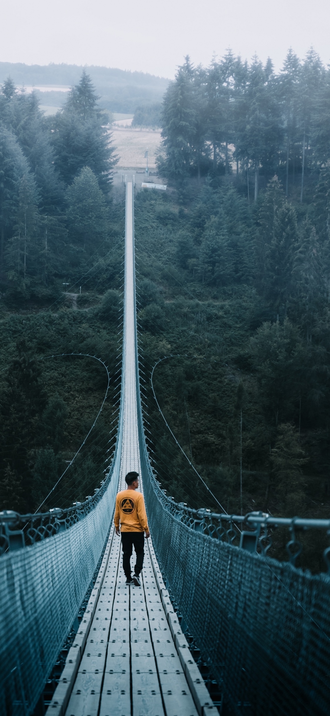 Green Bridge Over Green Trees. Wallpaper in 1125x2436 Resolution
