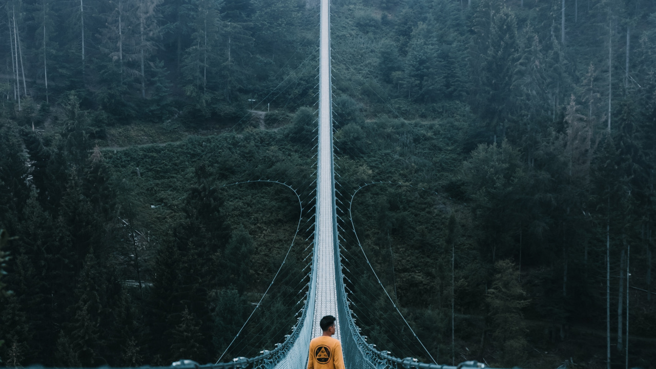 Green Bridge Over Green Trees. Wallpaper in 1280x720 Resolution