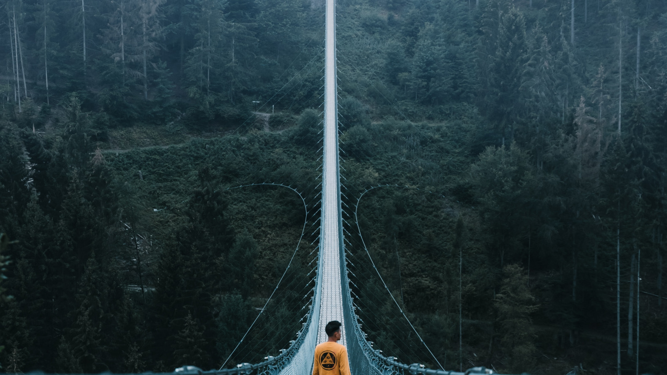 Green Bridge Over Green Trees. Wallpaper in 1366x768 Resolution