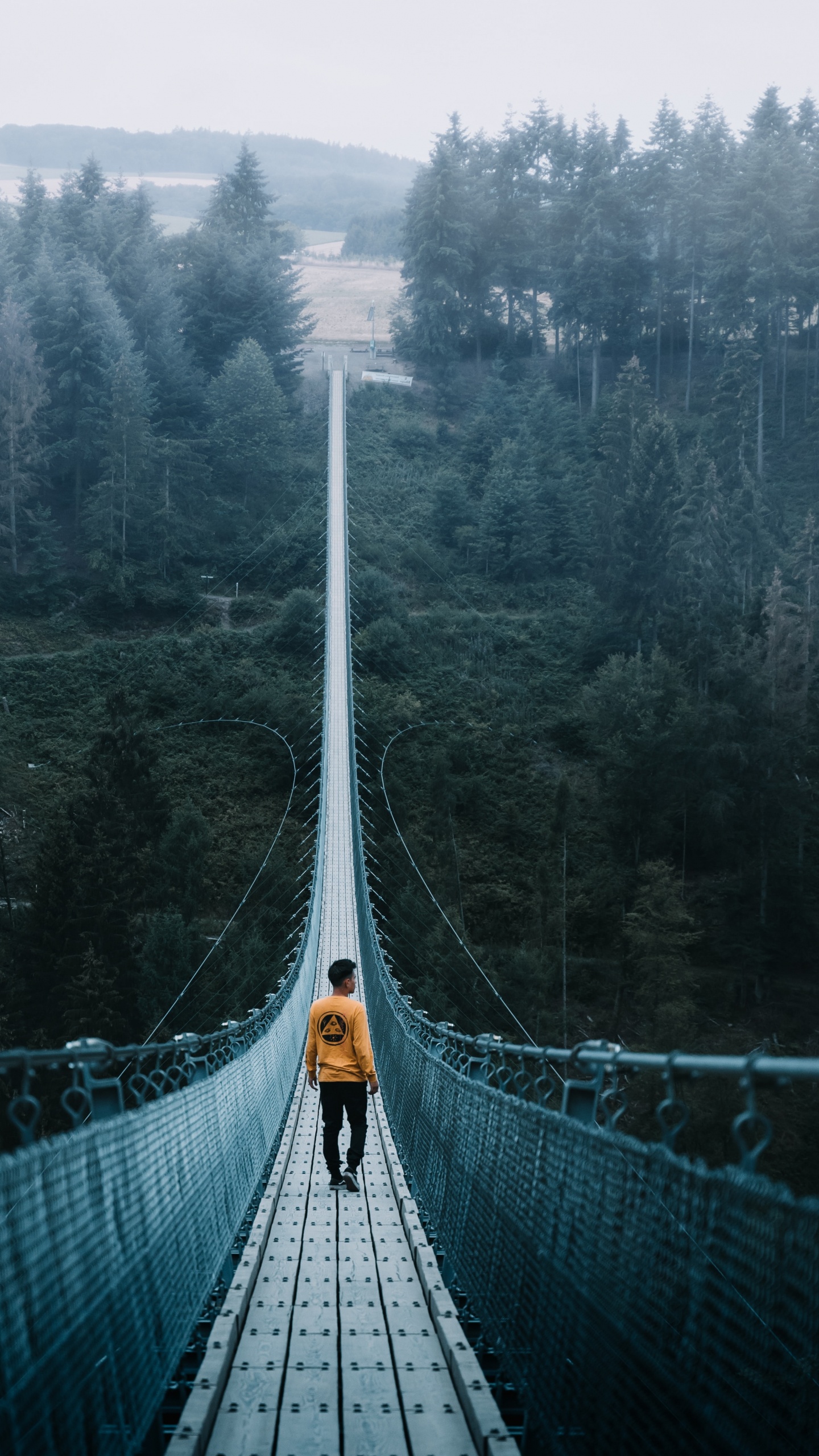 Green Bridge Over Green Trees. Wallpaper in 1440x2560 Resolution