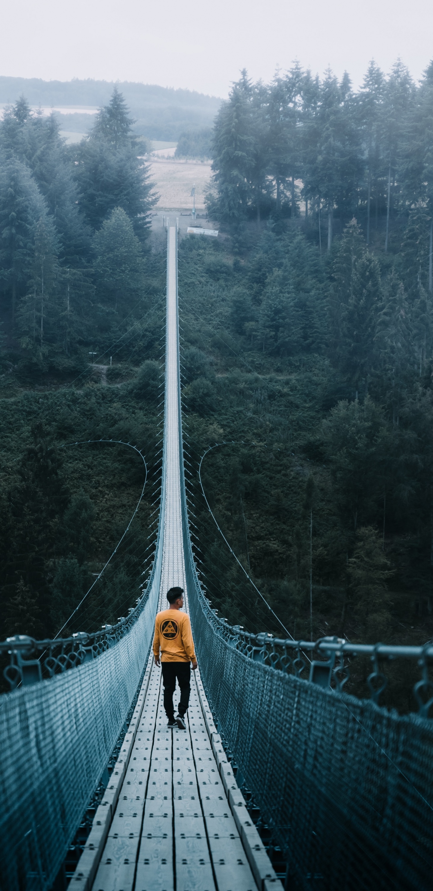 Green Bridge Over Green Trees. Wallpaper in 1440x2960 Resolution