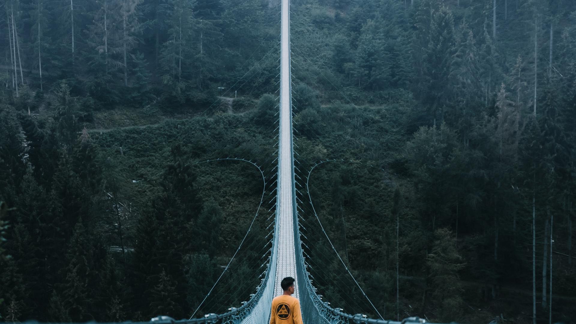 Green Bridge Over Green Trees. Wallpaper in 1920x1080 Resolution