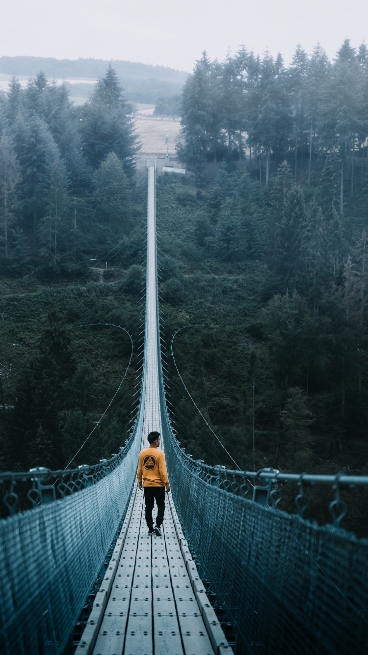 Green Bridge Over Green Trees. Wallpaper in 750x1334 Resolution