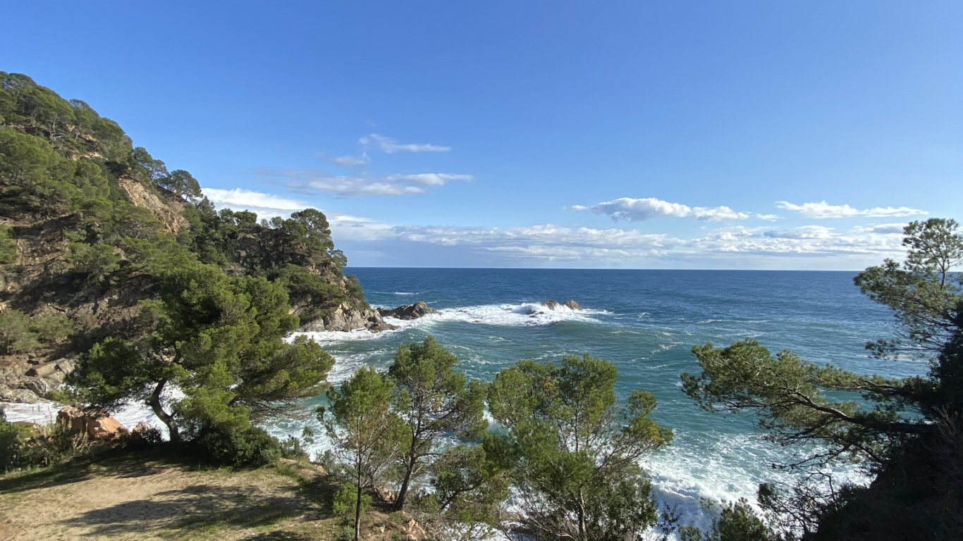 Coast, Vegetation, Terrain, Tropics, Beach. Wallpaper in 1366x768 Resolution