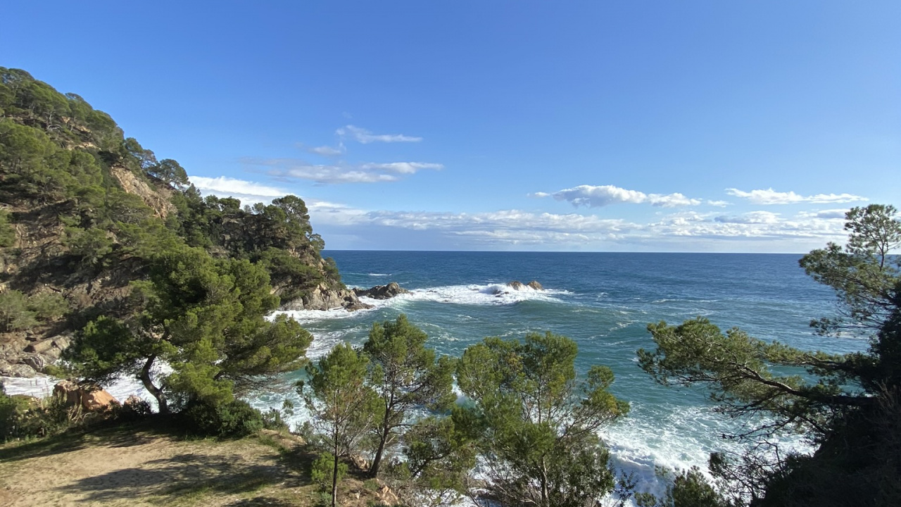 Côte, Végétation, Terrain, Tropique, Plage. Wallpaper in 1280x720 Resolution