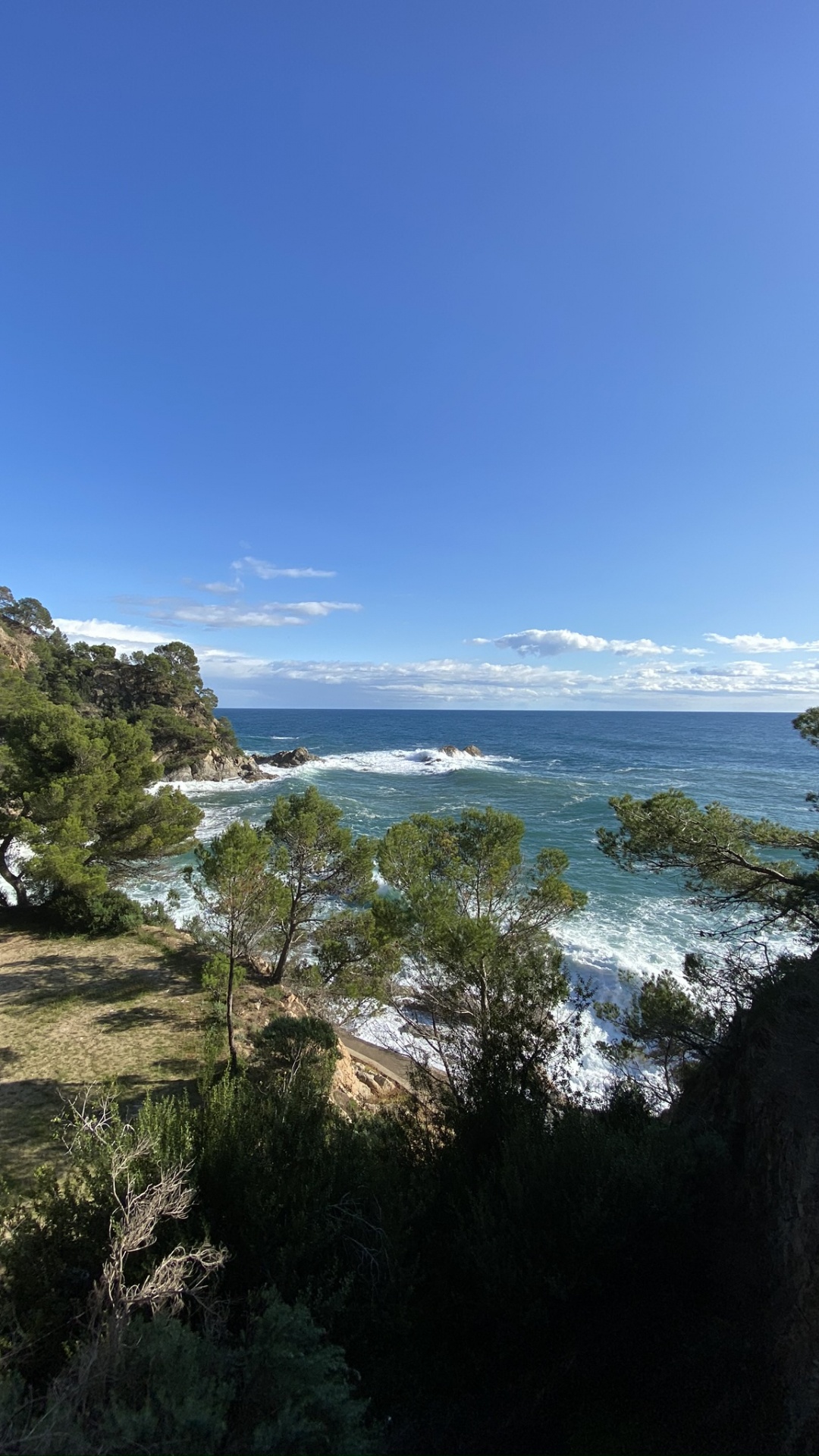 海岸, 植被, 地形, 热带地区, 海角 壁纸 1080x1920 允许