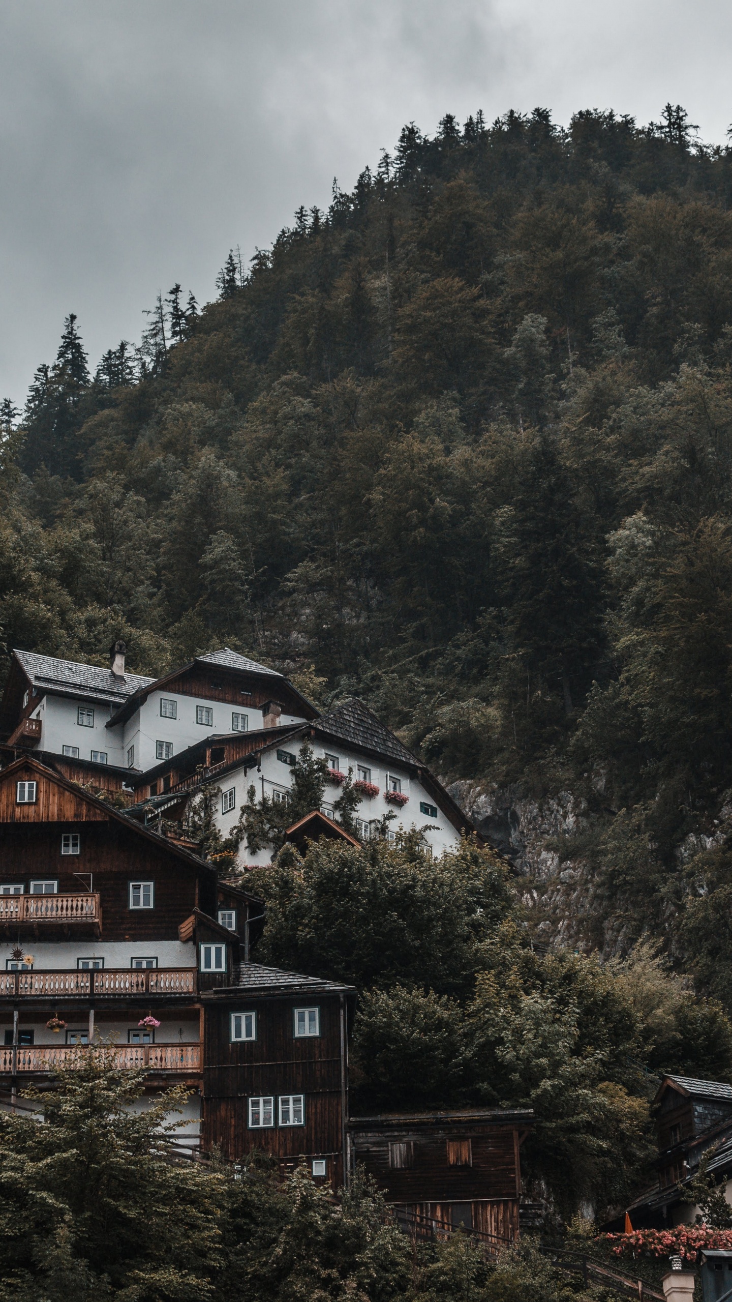 Brown and White House Near Green Trees During Daytime. Wallpaper in 1440x2560 Resolution