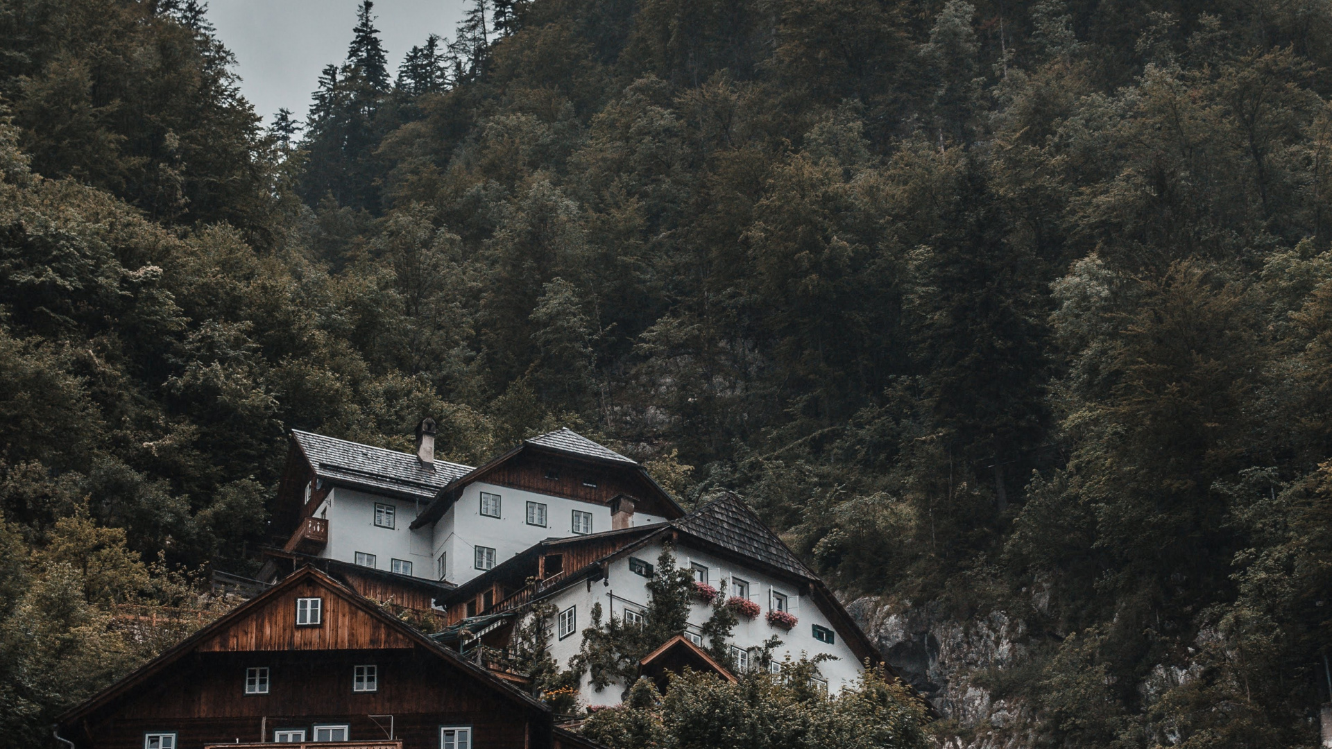 Brown and White House Near Green Trees During Daytime. Wallpaper in 1920x1080 Resolution