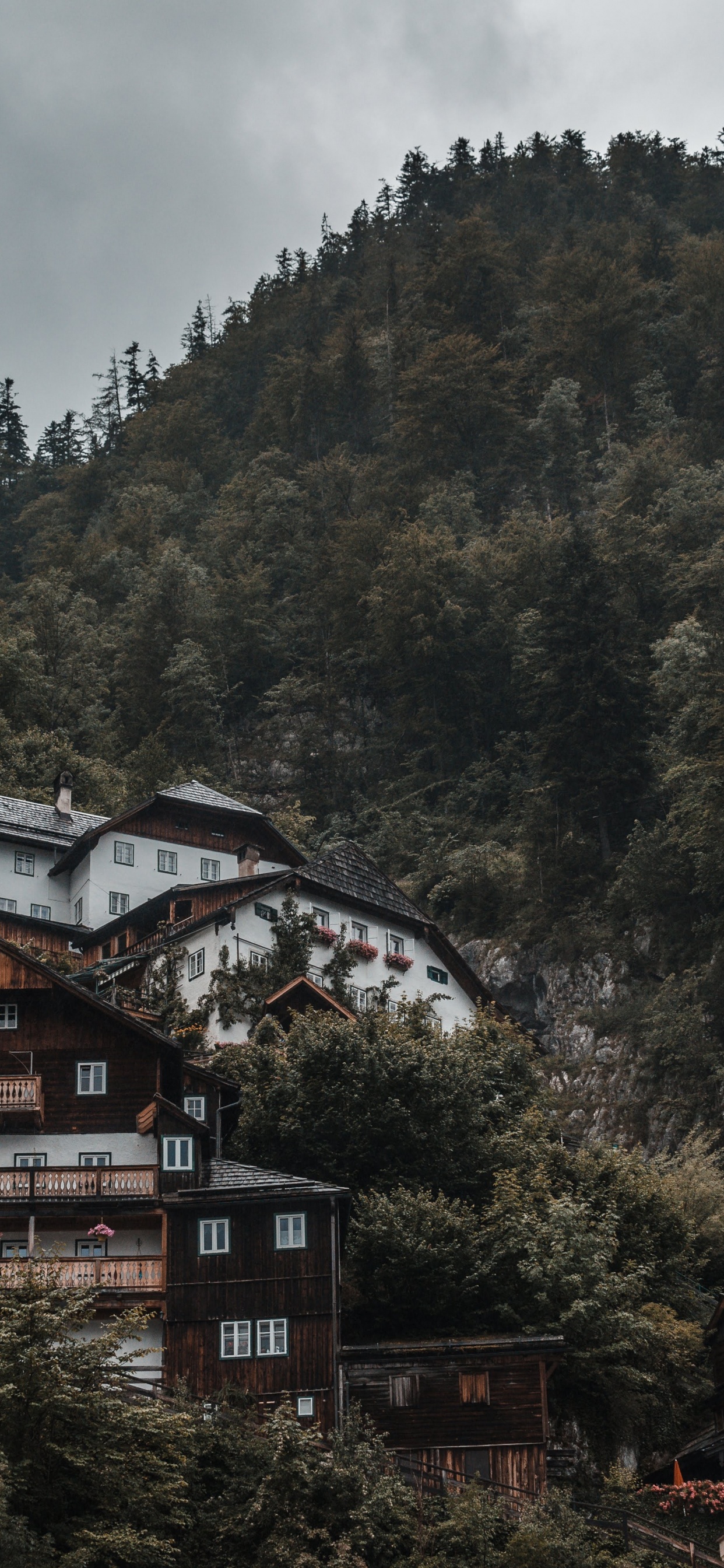 Casa Marrón y Blanca Cerca de Árboles Verdes Durante el Día. Wallpaper in 1242x2688 Resolution