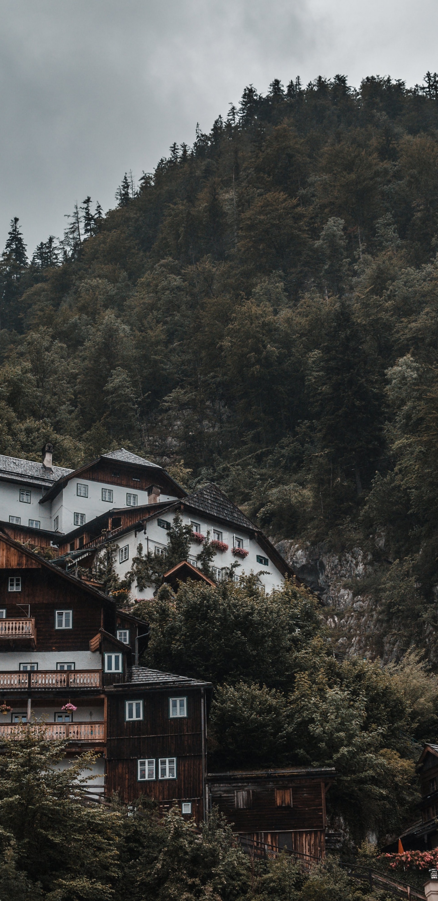 Casa Marrón y Blanca Cerca de Árboles Verdes Durante el Día. Wallpaper in 1440x2960 Resolution