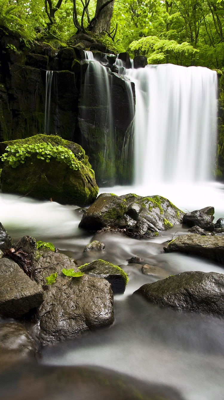 Water Falls on Rocky Shore During Daytime. Wallpaper in 750x1334 Resolution