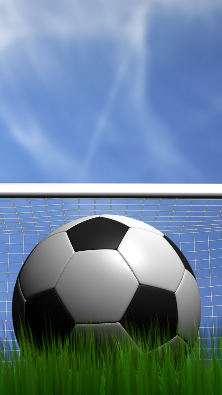 Weißer Und Schwarzer Fußball Auf Grünem Rasen. Wallpaper in 750x1334 Resolution