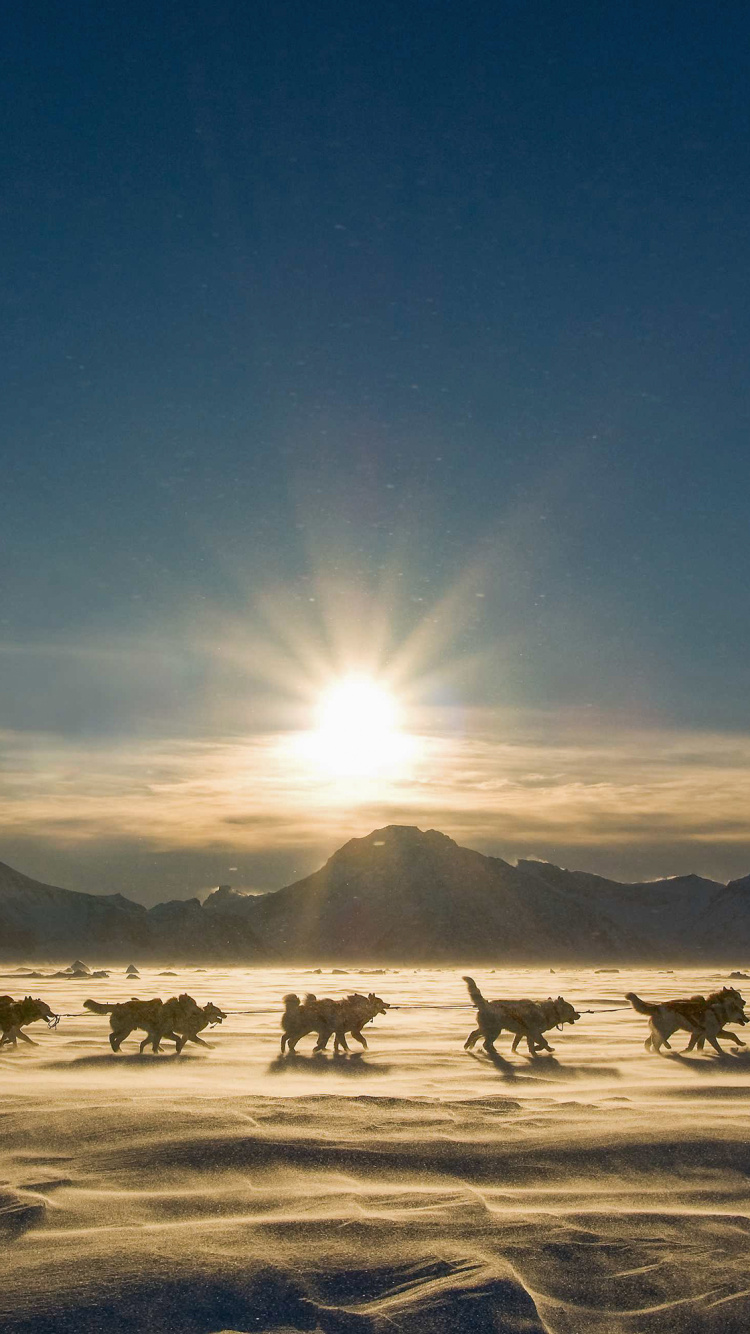 地平线, 冬天, 早上, 阳光, 旅行 壁纸 750x1334 允许