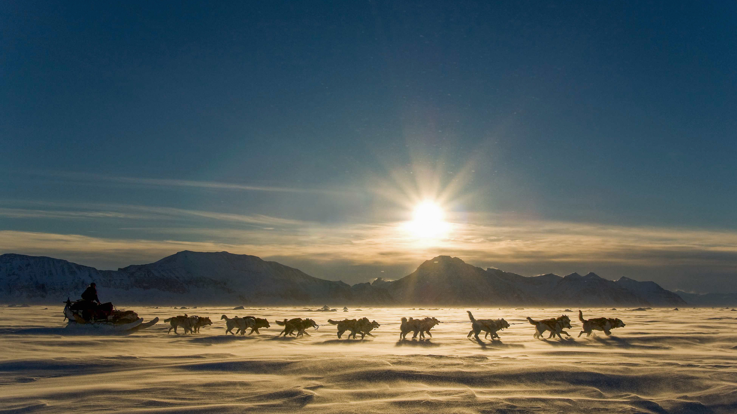 Leute, Die Tagsüber Auf Schneebedeckten Feldern Reiten. Wallpaper in 2560x1440 Resolution