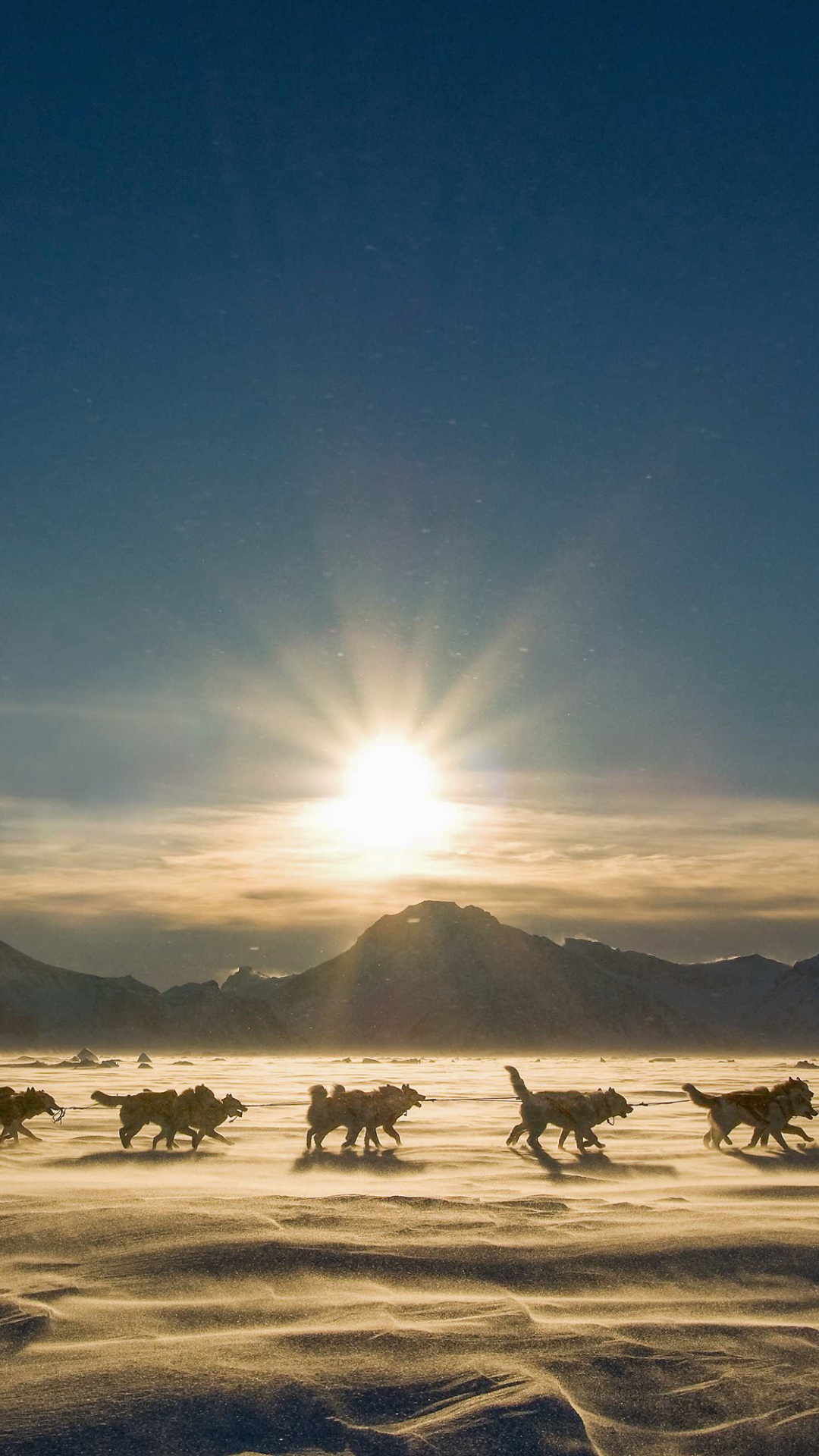 People Riding Horses on Snow Covered Field During Daytime. Wallpaper in 1080x1920 Resolution