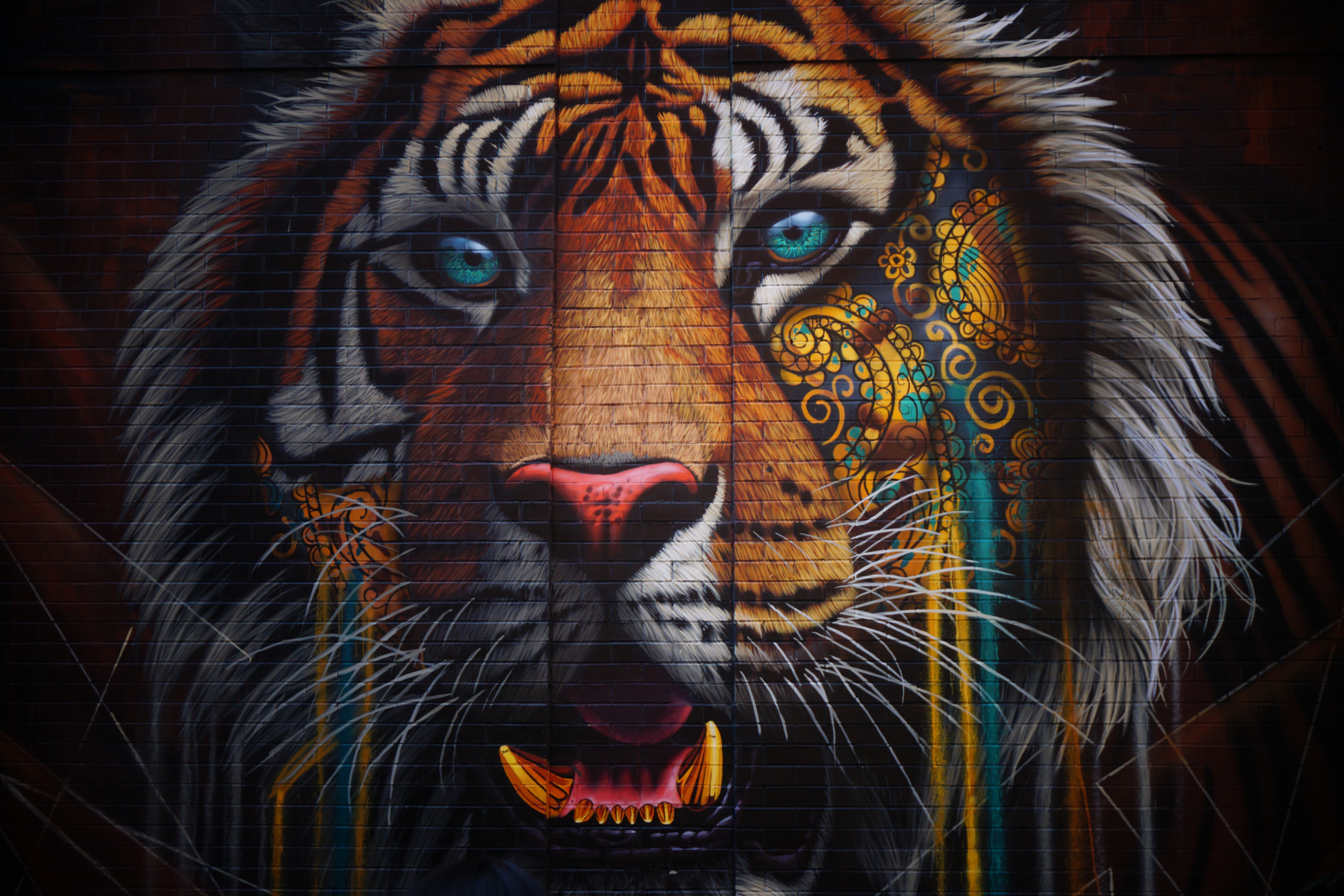tiger face wallpaper hd