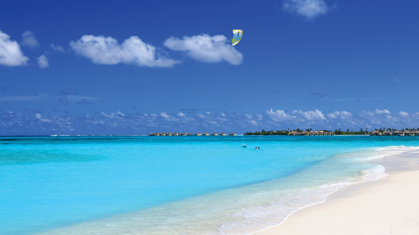 Les Gens Sur la Plage Pendant la Journée. Wallpaper in 1366x768 Resolution