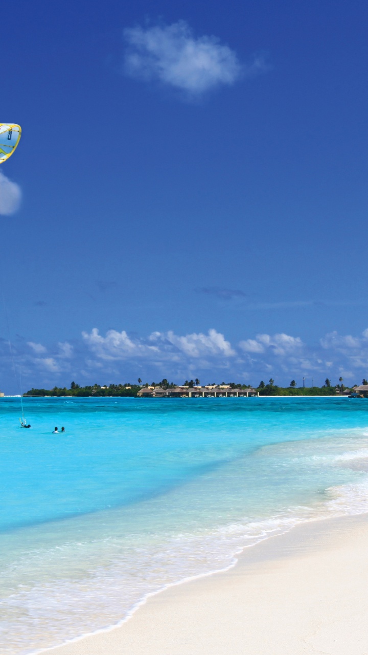 People on Beach During Daytime. Wallpaper in 720x1280 Resolution