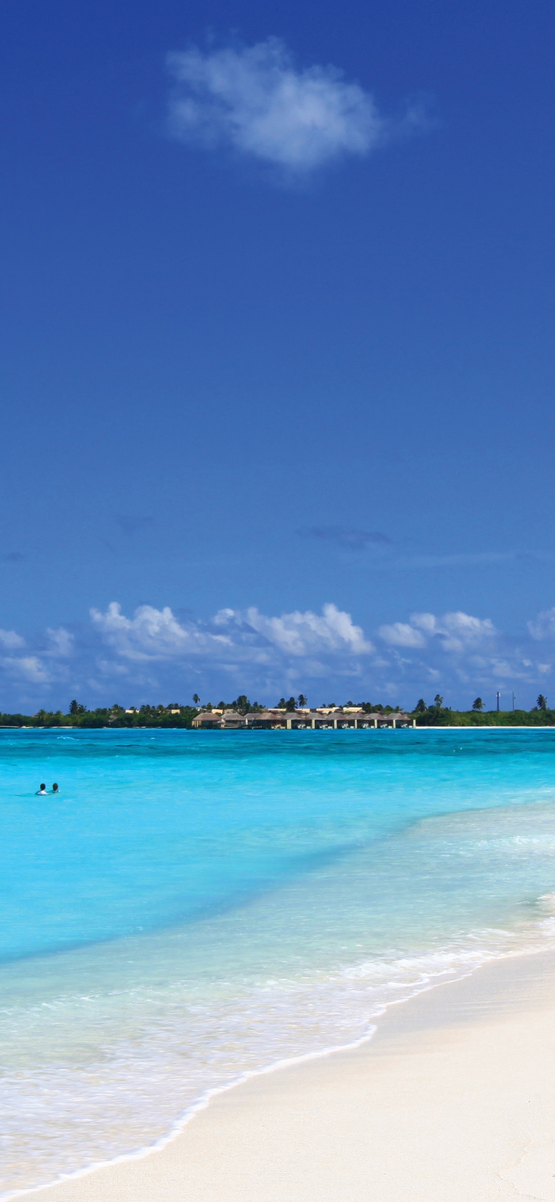 Leute am Strand Tagsüber. Wallpaper in 1125x2436 Resolution