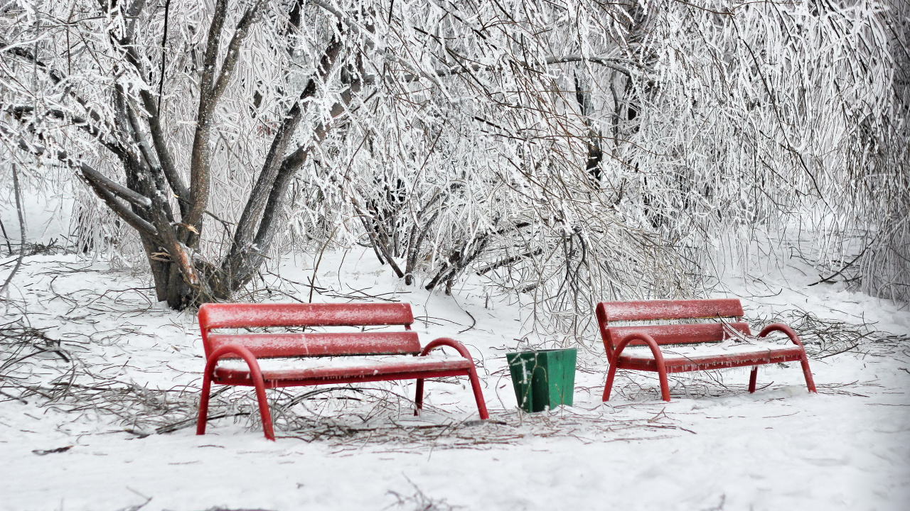 Red Bench Near White Trees During Daytime. Wallpaper in 1280x720 Resolution
