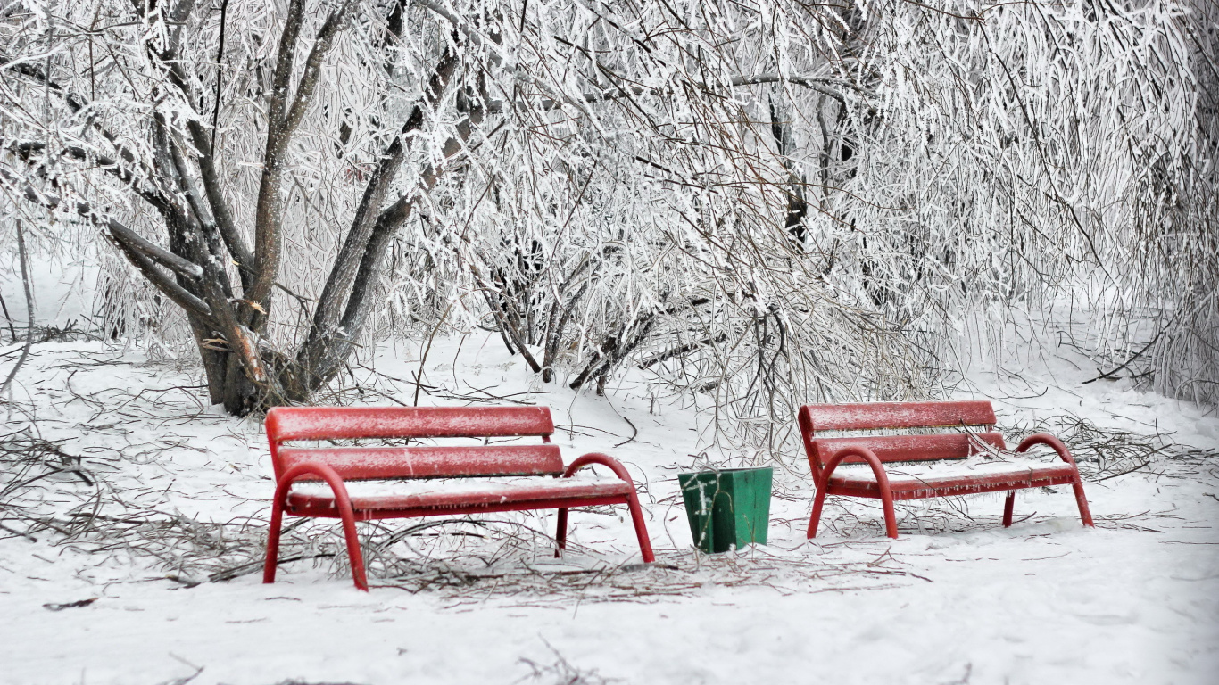 Banc Rouge Près Des Arbres Blancs Pendant la Journée. Wallpaper in 1366x768 Resolution