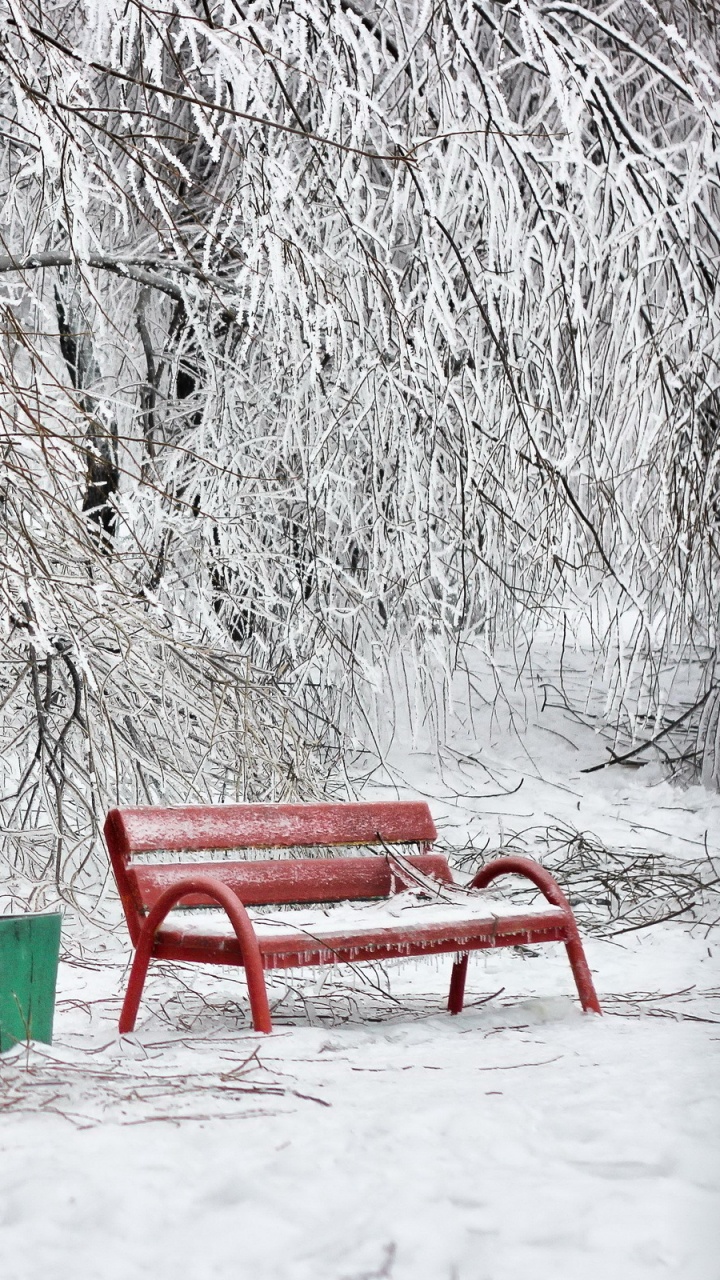 Banc Rouge Près Des Arbres Blancs Pendant la Journée. Wallpaper in 720x1280 Resolution