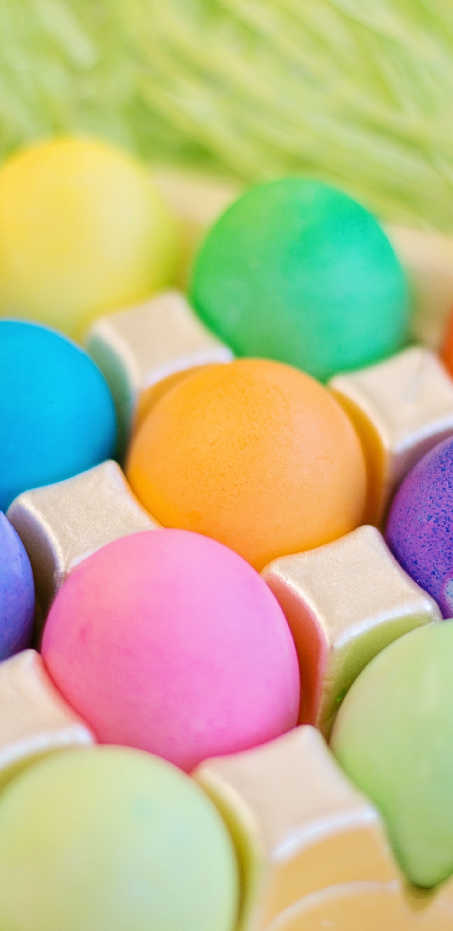 复活节彩蛋, 色彩, 食用色素, 复活节, 甜头 壁纸 1440x2960 允许