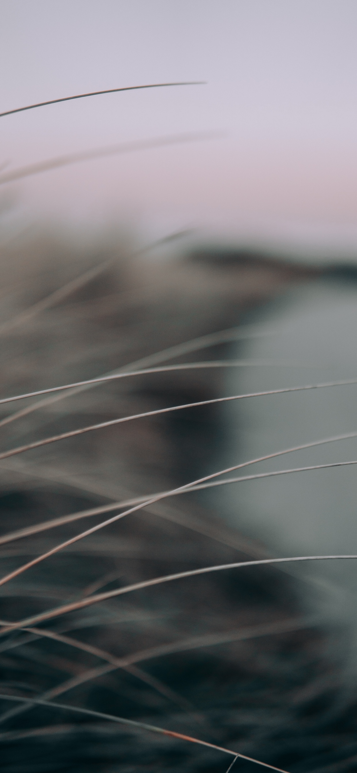 Black and White Fur Textile. Wallpaper in 1242x2688 Resolution