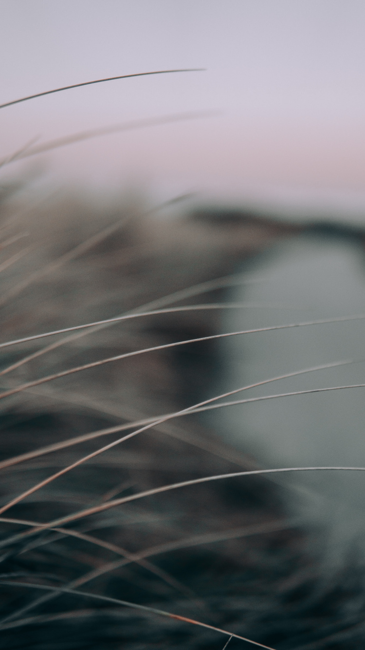 Schwarz-weißes Fell Textil. Wallpaper in 750x1334 Resolution