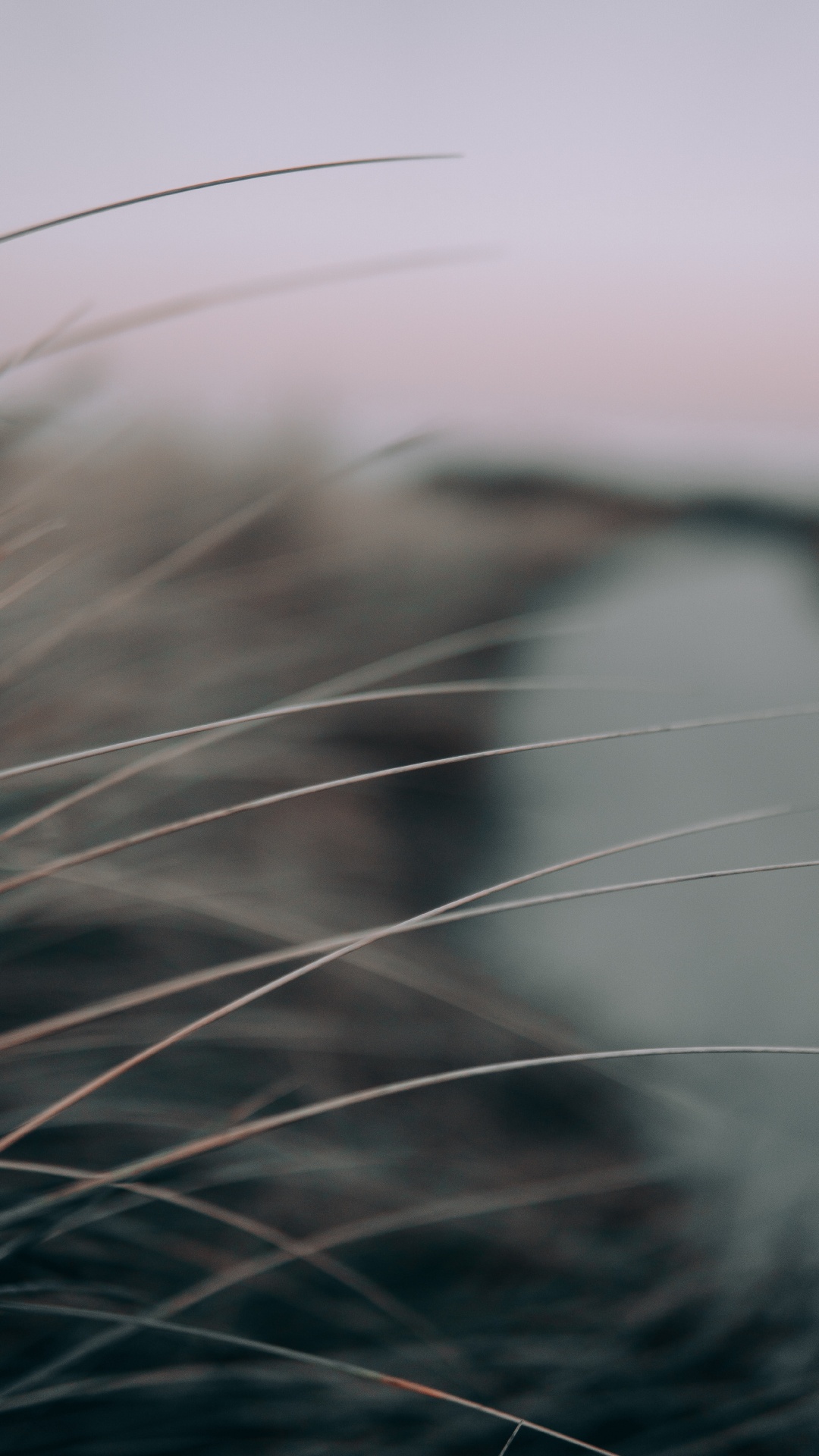 Textile Fourrure Noir et Blanc. Wallpaper in 1080x1920 Resolution