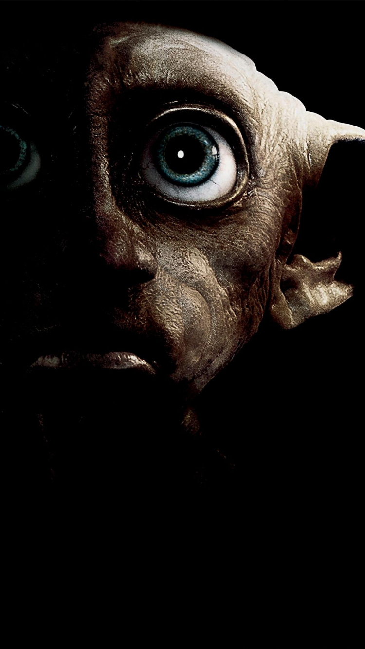 Harry Potter, Dobby L'elfe de Maison, Ratière, Lord Voldemort, Ombrage Dolores. Wallpaper in 750x1334 Resolution