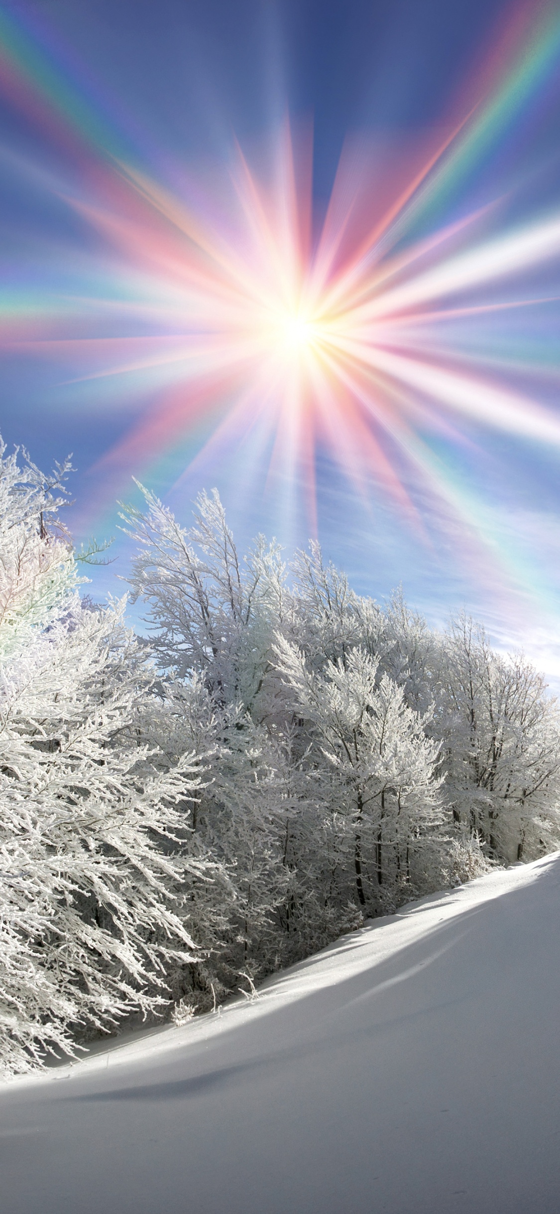 Arbres Couverts de Neige Sous Ciel Bleu Pendant la Journée. Wallpaper in 1125x2436 Resolution