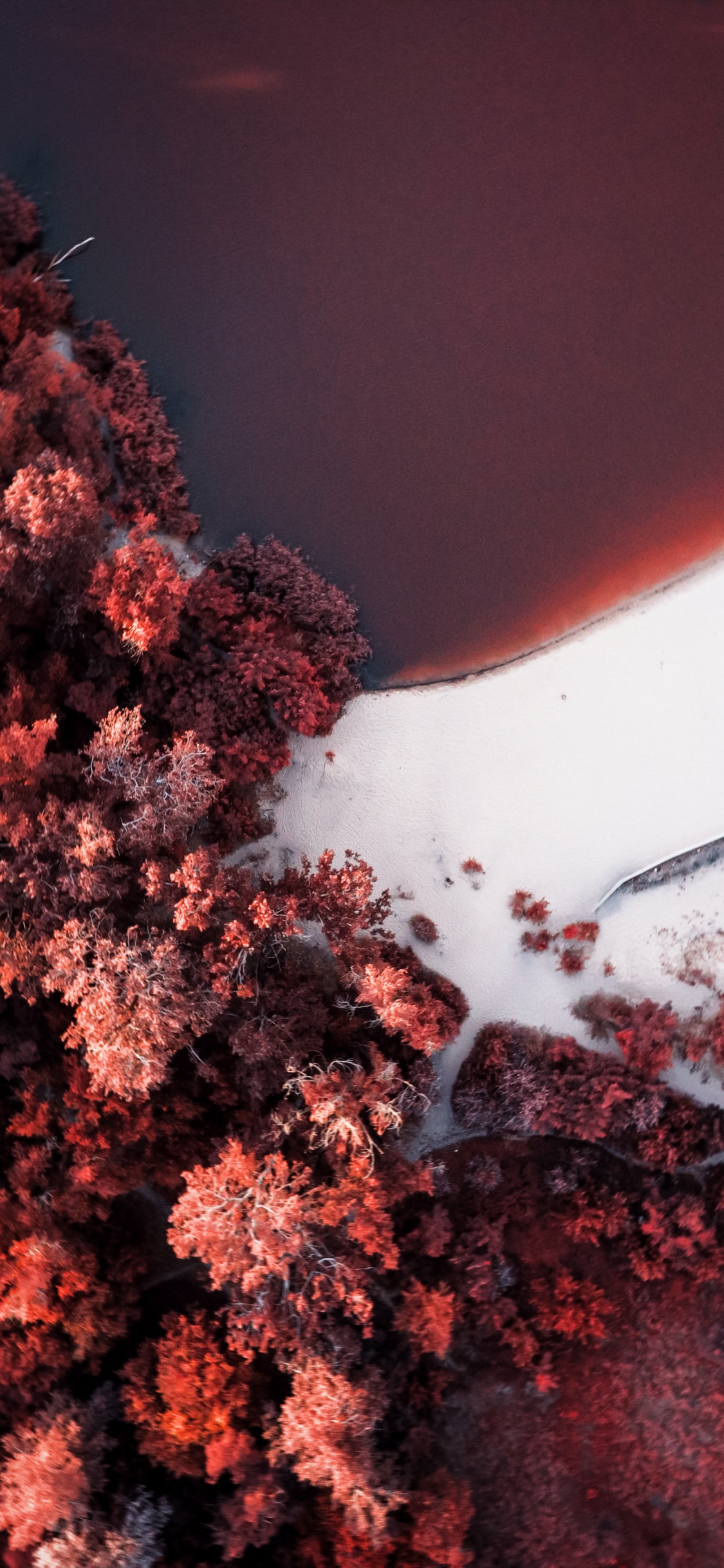 Soundcloud, Orange, Rameau, Paysage Naturel, Red. Wallpaper in 1125x2436 Resolution