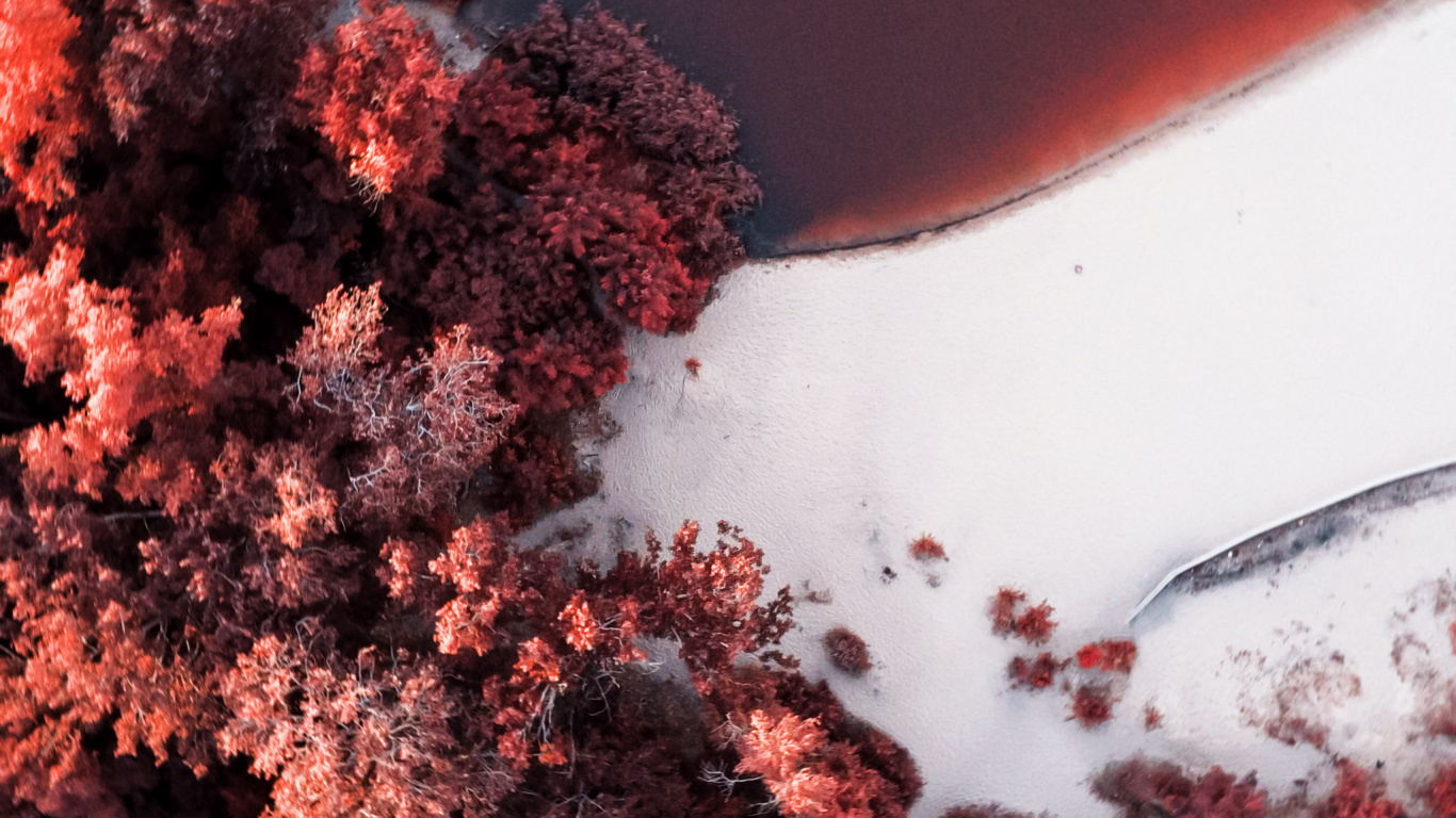 Soundcloud, Orange, Rameau, Paysage Naturel, Red. Wallpaper in 1366x768 Resolution