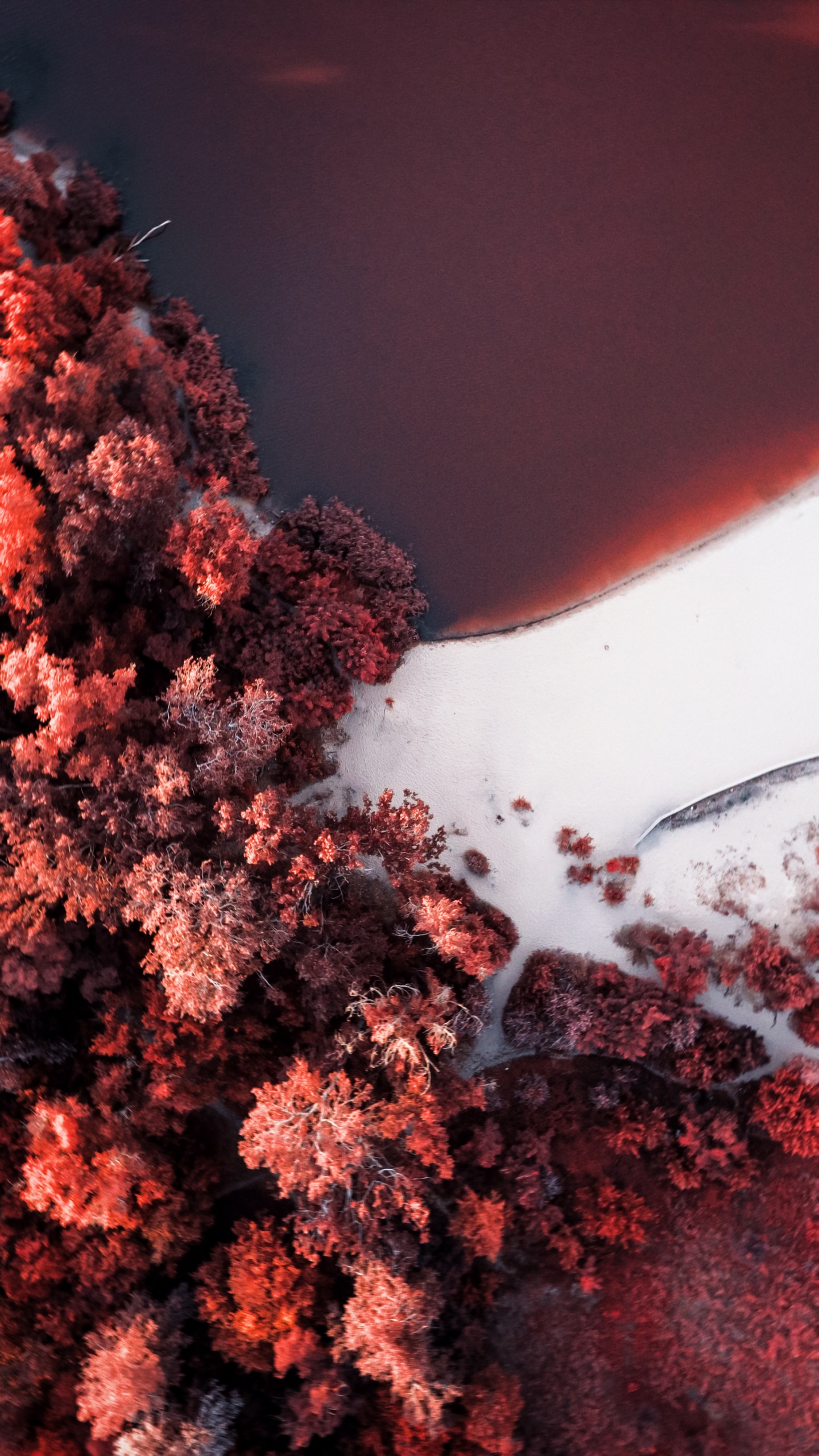 Soundcloud, Orange, Twig, Natural Landscape, Red. Wallpaper in 1440x2560 Resolution