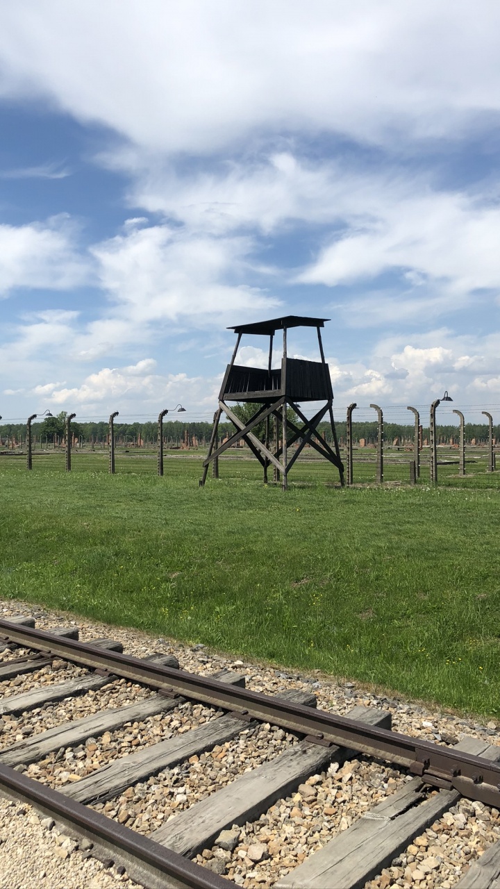 Spur, Schienenverkehr, Railroad Auto, Gras, Tageszeit. Wallpaper in 720x1280 Resolution