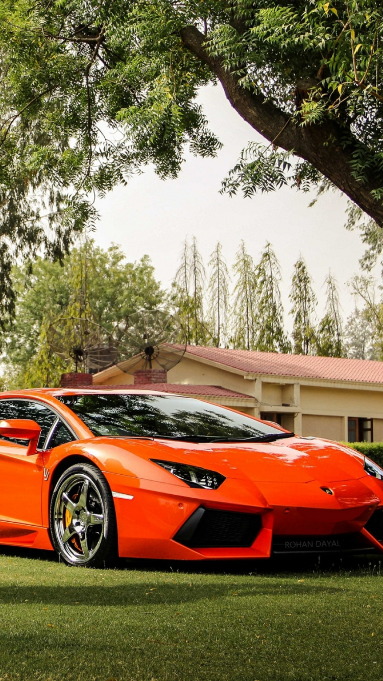 Red Ferrari 458 Italia Parked Near Green Trees During Daytime. Wallpaper in 750x1334 Resolution