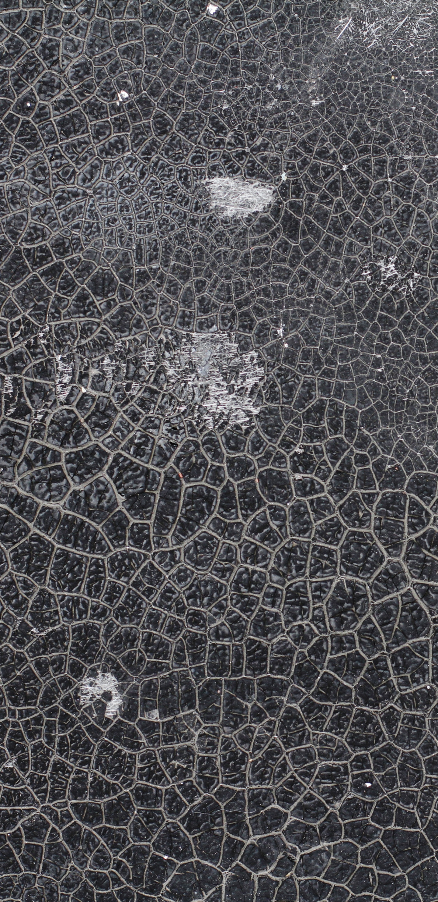 纹理, 黑色的, 纹理映, 单色模式, 黑色和白色的 壁纸 1440x2960 允许