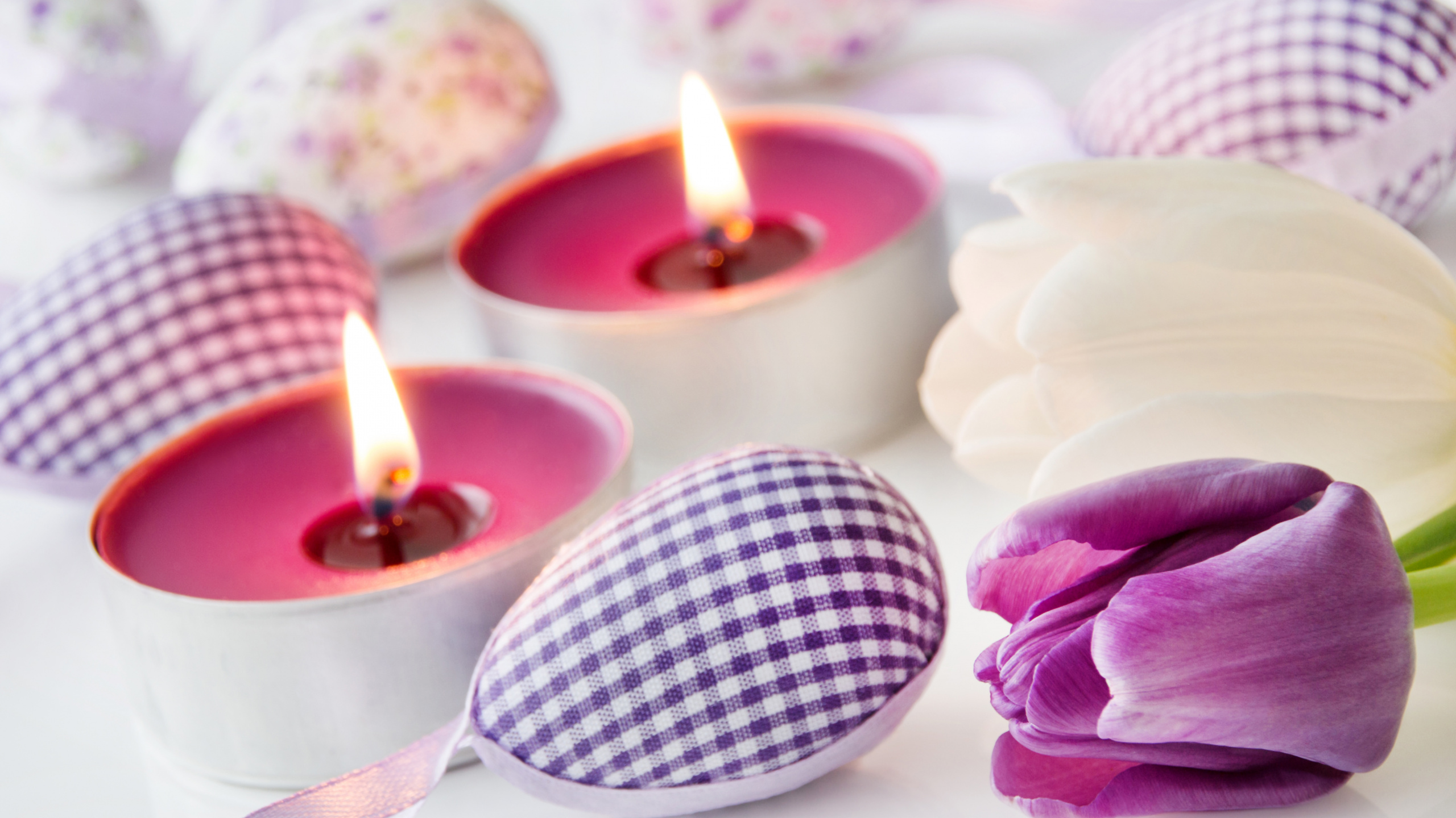 Tulip, Flower, Candle, Petal, Publishing. Wallpaper in 2560x1440 Resolution