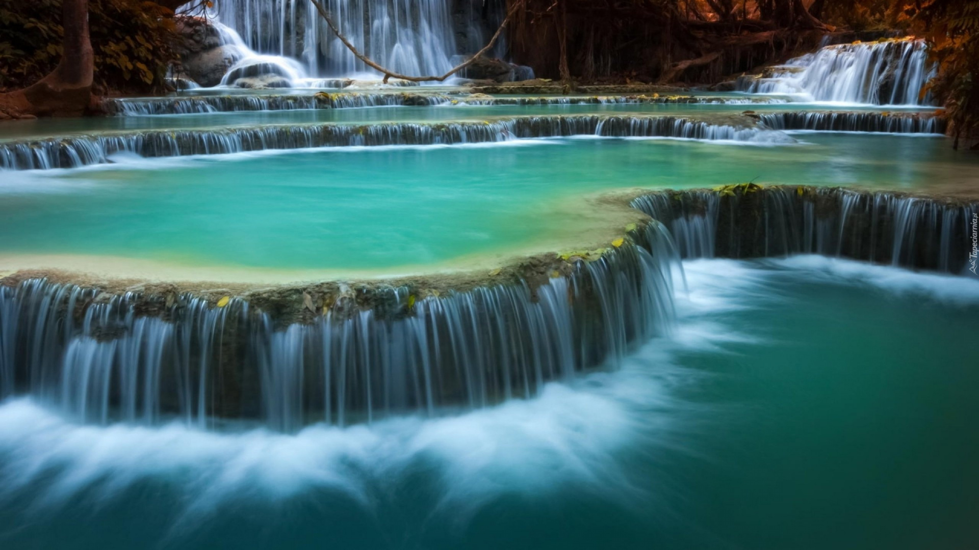 Water Falls in The Middle of Trees. Wallpaper in 1920x1080 Resolution