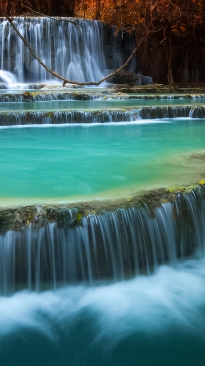 L'eau Tombe au Milieu Des Arbres. Wallpaper in 720x1280 Resolution