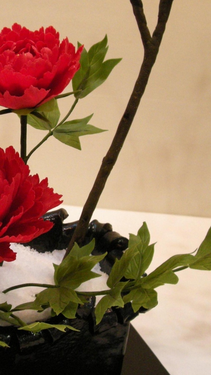 Rot-weißer Rosenstrauß. Wallpaper in 720x1280 Resolution