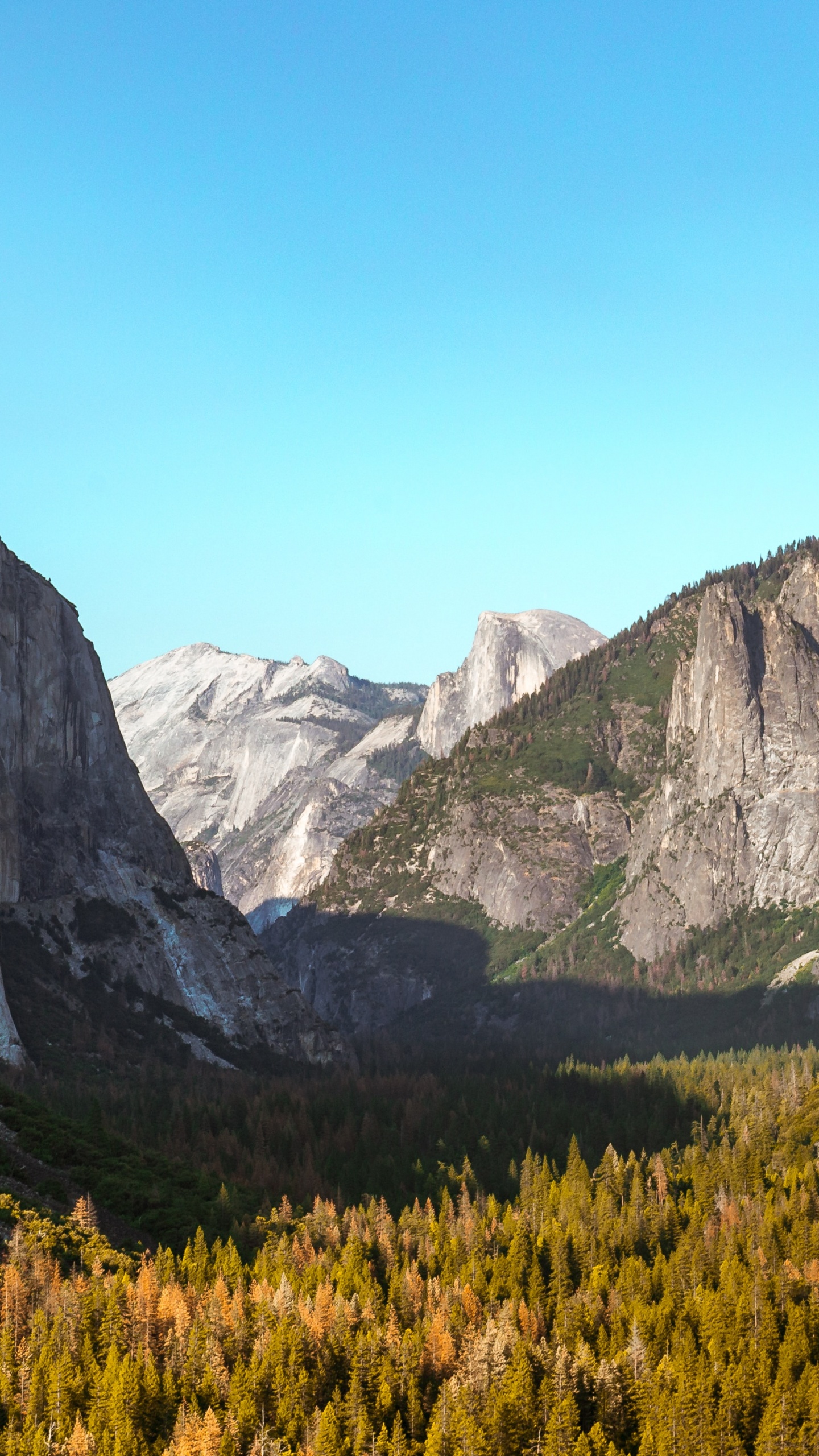 la Vallée de Yosemite, Parc, Paysage Naturel, Demi-Dôme, El Capitan. Wallpaper in 1440x2560 Resolution