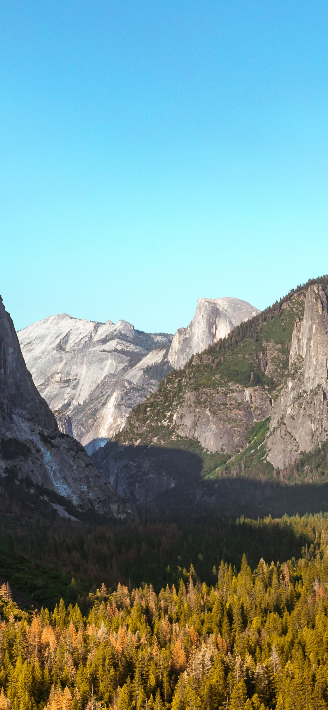 Yosemite Valley, Park, Natural Landscape, Mariposa Grove, Half Dome. Wallpaper in 1125x2436 Resolution